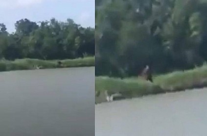 Half man half dog creature video confuse netizens