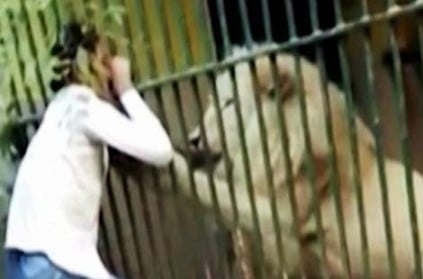 Horrifying Video Zookeeper Attacked By A Lion In Karachi Zoo