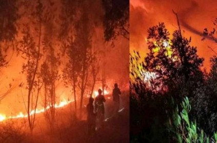 Huge Forest Fire Kills 18 Firefighters One Guide In Xichang China