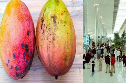 Indian worker at Dubai airport held for stealing 2 mangoes