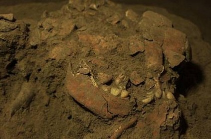 Intact DNA from woman who lived 7,200 years ago discovered