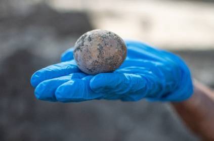 Israel archaeologists find chicken egg after 1000 years