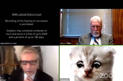 Lawyer struggle to remove cat filter during court hearing
