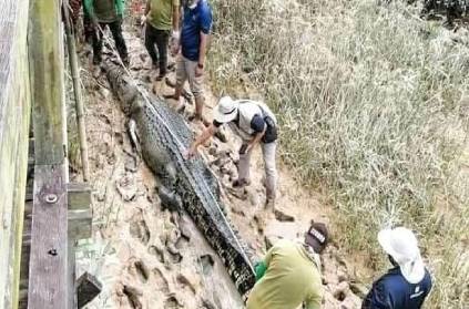 malaysia 14 year old boy dragged crocodie in water
