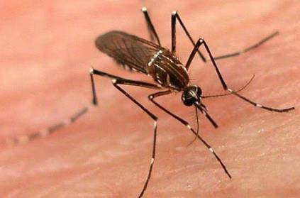 Man Acquires Dengue from Male Partner through Sexual Transmission