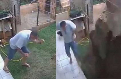 Man blows up garden while trying to get rid of cockroaches