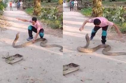 Man catches massive King Cobra with bare hands goes viral