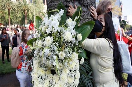 Mexico People Conduct Farwell Party for 100 year old palm tree
