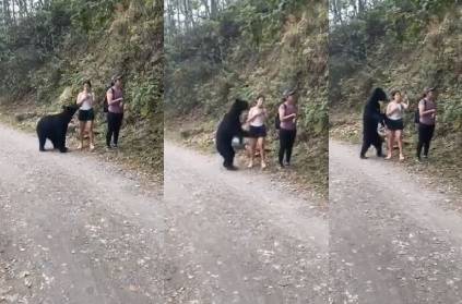 mexico thrill video of bear sniffing girl hiker posing selfie