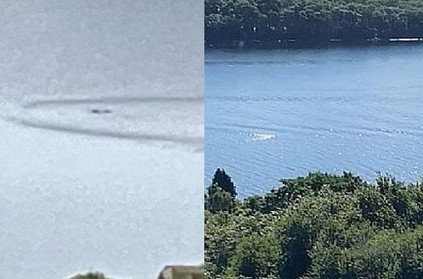 mysterious black lump found on water picture surfaces