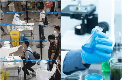 New Langya virus hits China 35 people infected