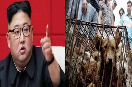 north korea kim jong un orders to surrender pet dogs amid meat shortag