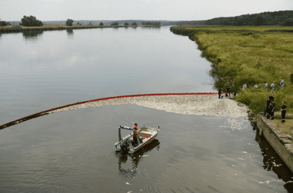 Oder River mass die off of fish as no toxic substances found