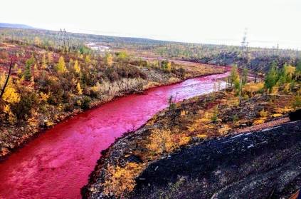 oil spill in Russia caused the river to become contaminated