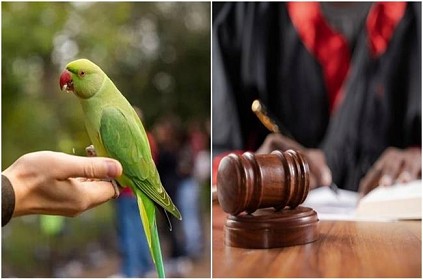 Parrot Owner fined 74 lakh RS by Court after bird cause accident