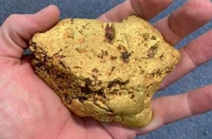 Australian man found 1.4 kg gold worth 48 lakhs using metal detector