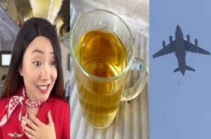 Flight attendant says GHOST of a passenger\'s wife