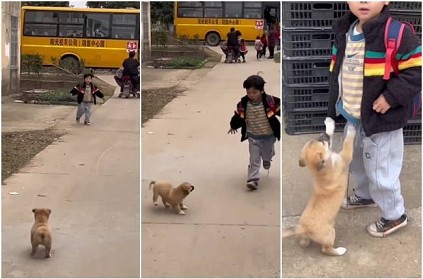 Puppy rejoint with school kid after long wait video goes viral