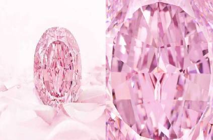 purple pink diamond rare sold for 199 cr incredible details