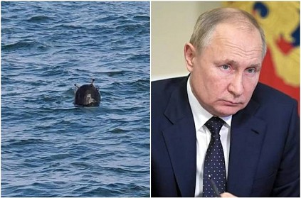 Russia using trained military dolphins to protect warships