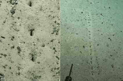 Scientists Discovering Mysterious Holes On Atlantic Seafloor
