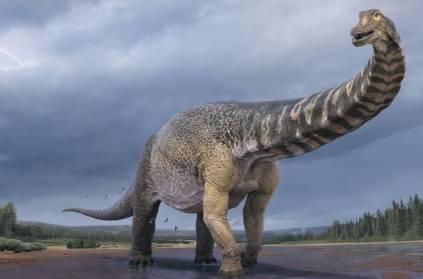 Scientists say new dinosaur species is largest found in Australia