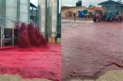 spain Fifty thousand liters of red wine have been wasted