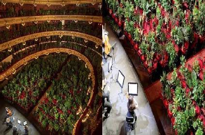 spain music concert with plants as audience vote of thanks