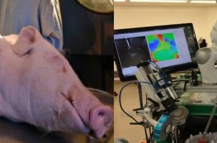 Star robot who operated on pig without humans