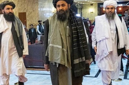 Taliban Govt in Afghanistan: Mullah Yaqoob and Haqqani Factions Fight