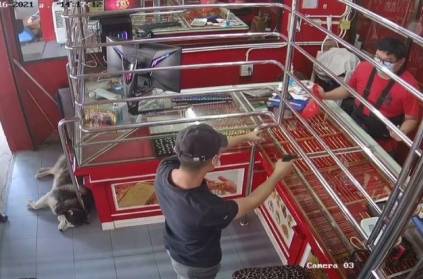 Thailand dog slept jewelry shop without know thief come