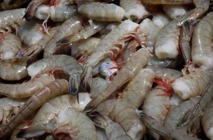 Thailand\'s grandmother sells shrimp to 689 people corona