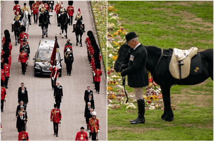 The Queen favourite pony Emma tribute to Her Majesty