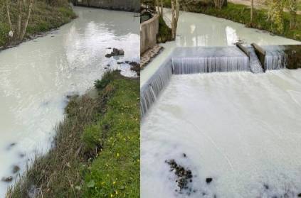 The Tulis River in the UK has become milk River in england