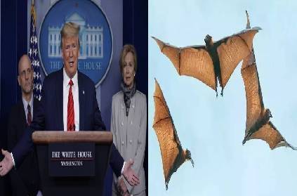 trump says species of bats which spread virus not in wuhan