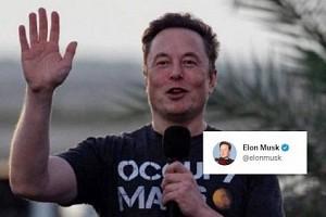 Elon Musk : "ஒரு வாரம் மூடப்படும் ட்விட்டர் அலுவலகம்?".. எலன் மஸ்க் பகிர்ந்த ‘கல்லறை’ Post.. ட்ரெண்ட் ஆகும் RIP Twitter