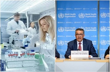 Ukraine to destroy pathogens in health labs says WHO