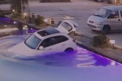 VIDEO: Dog accidentally drives car into pond in China