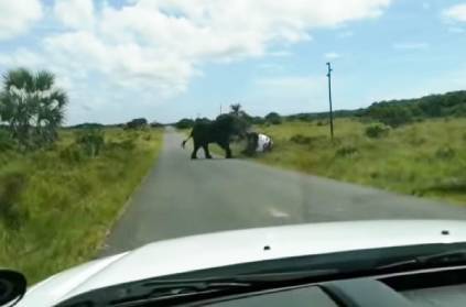VIDEO: Elephant flips over car while family inside