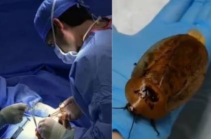 Viral Video : Veterinarian Performed Surgery on Pregnant Cockroach