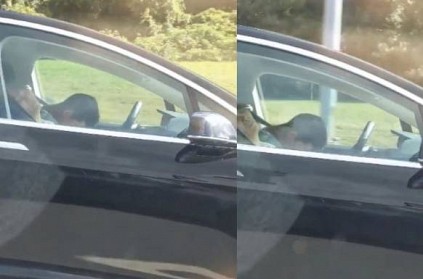 WATCH: Tesla driver appears to be asleep in moving car