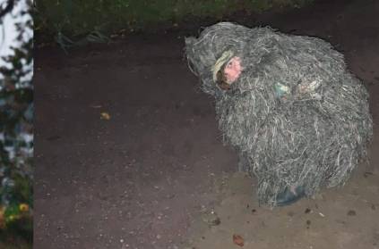 Woman Dresses Up As A Bush, Pictures Goes Viral In Twitter