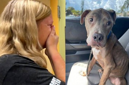 woman reunites with missing dog after 8 years