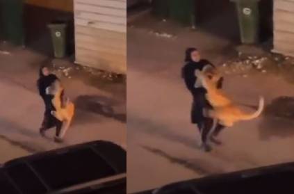 Woman seen carrying lioness in arms, Video goes viral