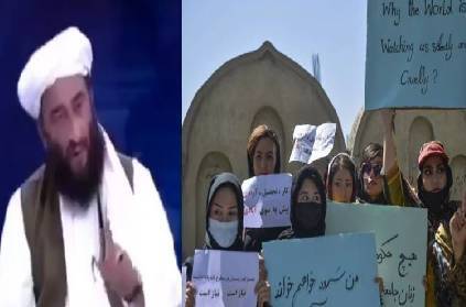 women cant be ministers they should give birth says taliban
