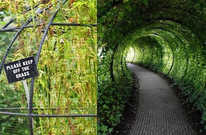 world deadliest garden with more than 100 plants gone viral
