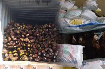 chennai customs officers seized 9 crore worth of red sanders