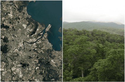 Google Maps users confused by huge jet spotted in the rainforest