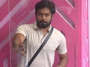 Aari or Balaji which person does wrong things in BB?