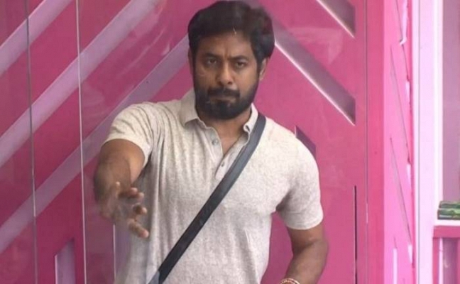 Aari or Balaji which person does wrong things in BB?